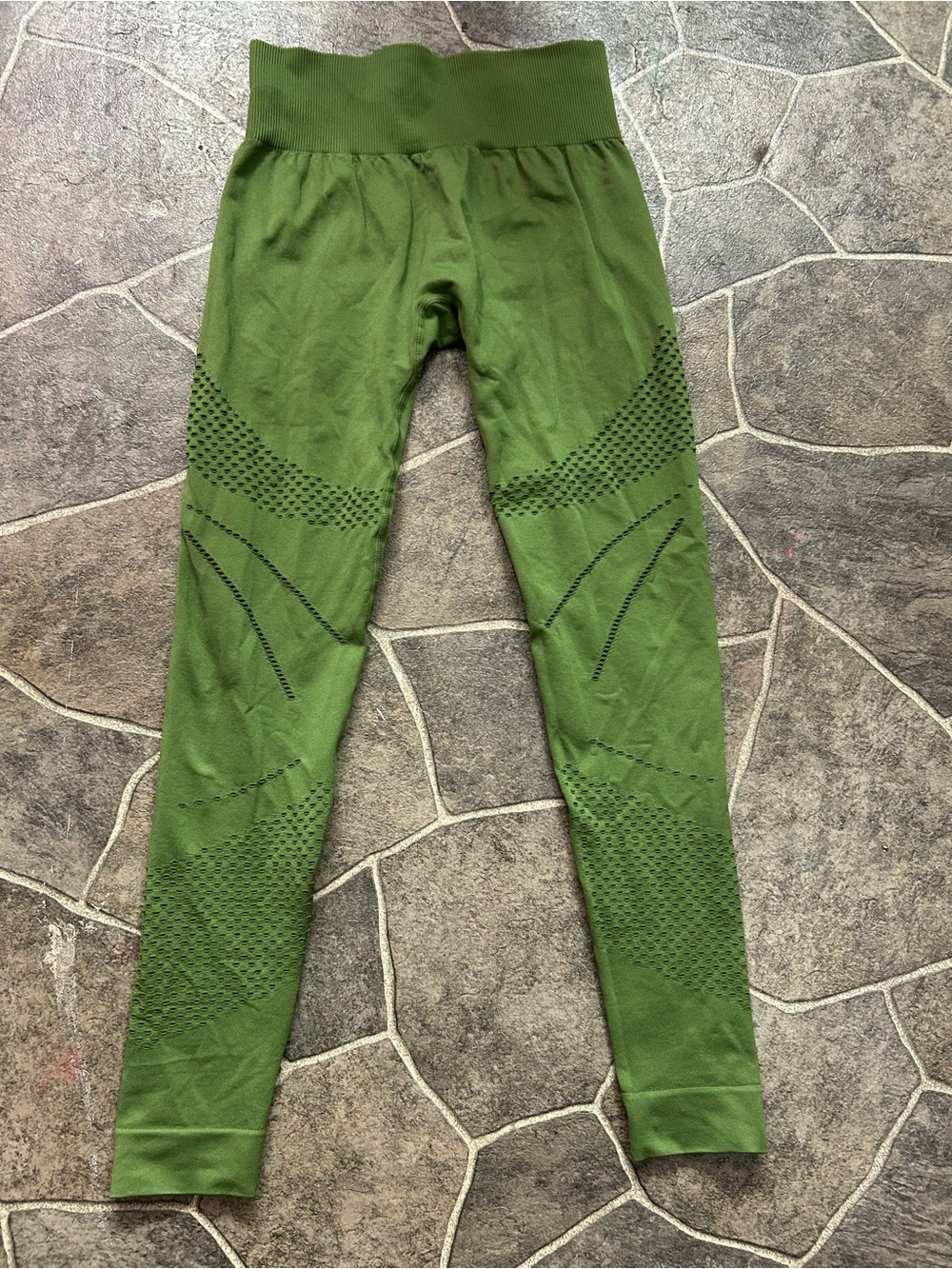 Fashion Nova Olive Green Seamless Leggings